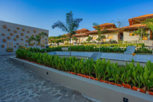 Meadow Wellness, a serene retreat surrounded by lush greenery, offering holistic wellness experiences, yoga retreats, and tranquil accommodations for relaxation and rejuvenation