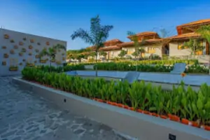 Meadow Wellness, a serene retreat surrounded by lush greenery, offering holistic wellness experiences, yoga retreats, and tranquil accommodations for relaxation and rejuvenation